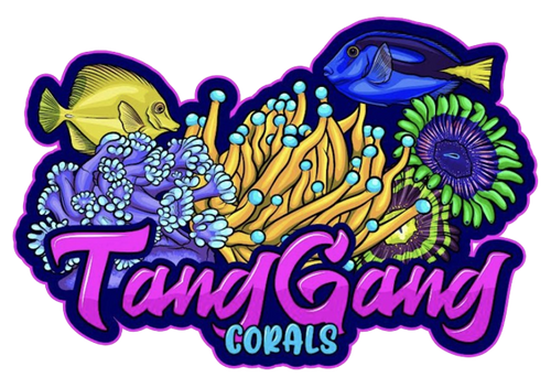 Tang Gang Corals